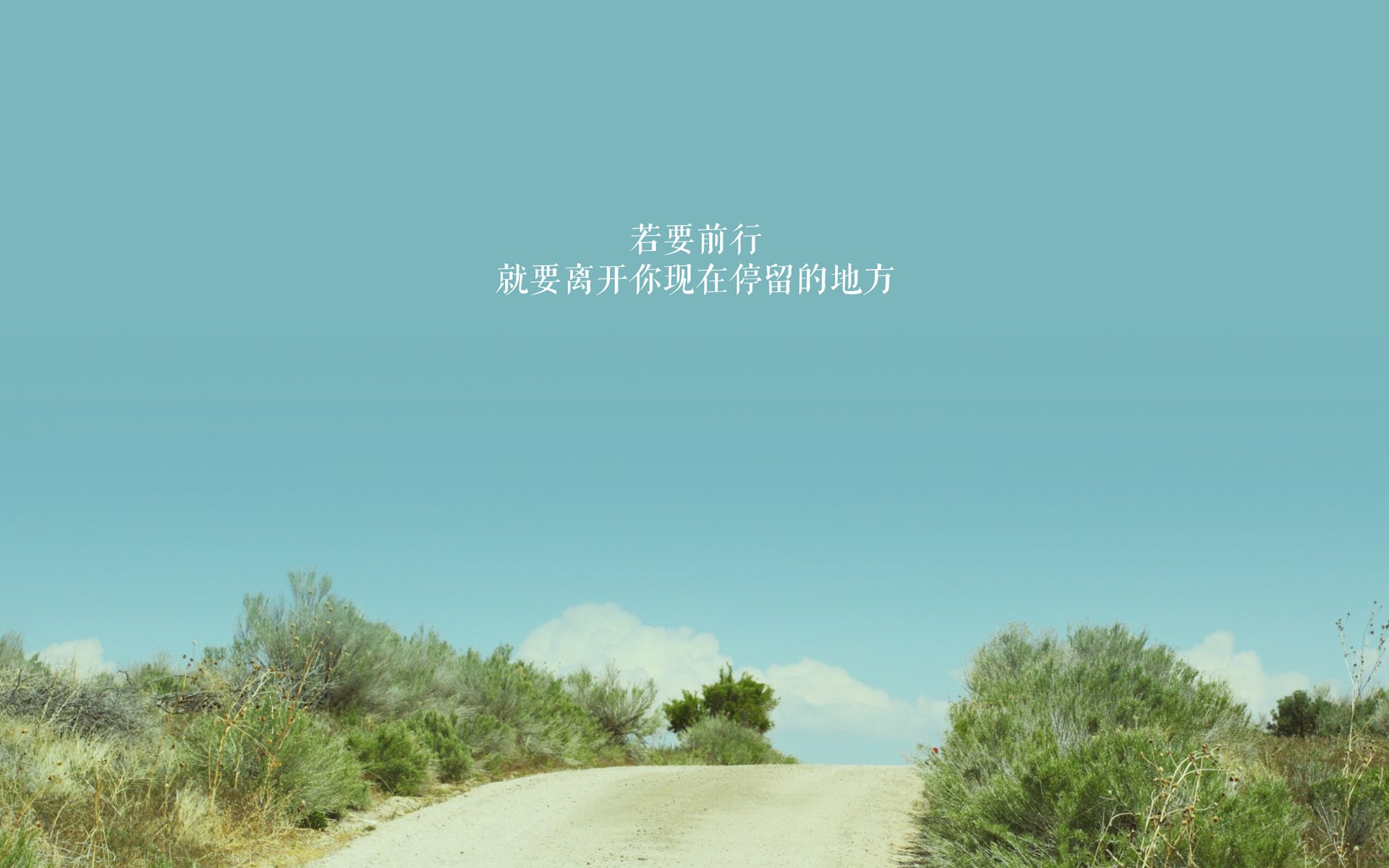 九游下载官网-WRC新技术亮相：智能辅助带来新体验，wrc软件