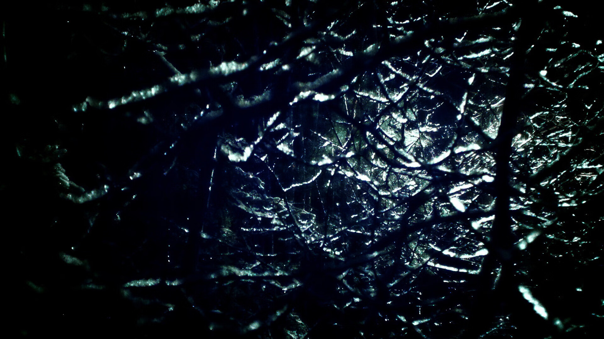 九游登录入口-WRC新赛季全景展望：未来的挑战与机遇，wrc赛事