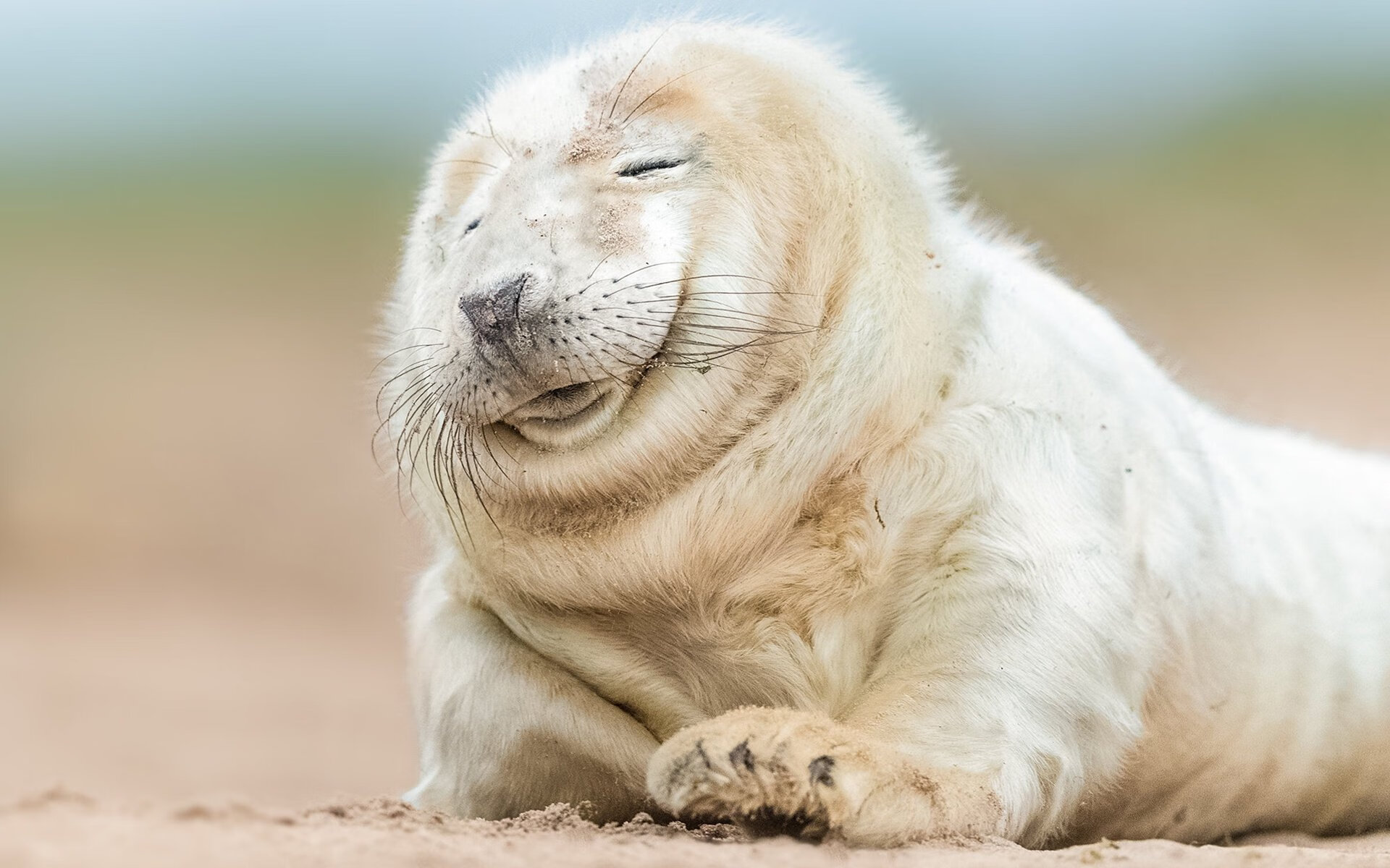 九游登录入口-“历史传奇：NBA最伟大球员的黄金时代”，nba历史最伟大球星是怎么排名的