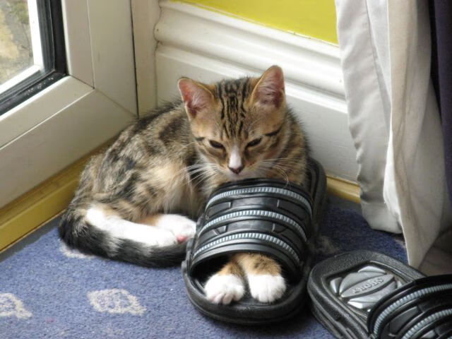 大型夜光水上摩托表演，灯火辉煌中的极速狂飙，水上摩托长啥样